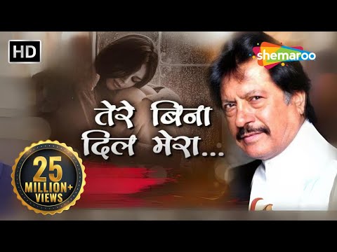 attaullah-khan-songs---तेरे-बिना-दिल-मेरा-(hd)---सच्चा-प्यार-करने-वालों-को-रुला-देगा-ये-दर्द-भरा-गीत