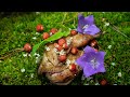 Best Quail  "Forest marinade"  fire cooked with Berries and FLOWERS. Simple recipe.