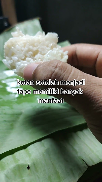 MANFAAT TAPE KETAN UNTUK TUBUH #info #tips #kebun #petani #manfaat #cara #semai #khasiat #kesehatan