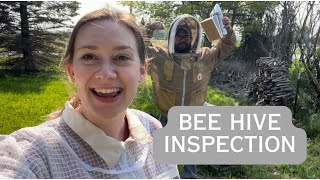 Inspecting our hive as beginner beekeepers