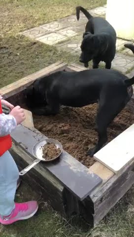 youtube.com