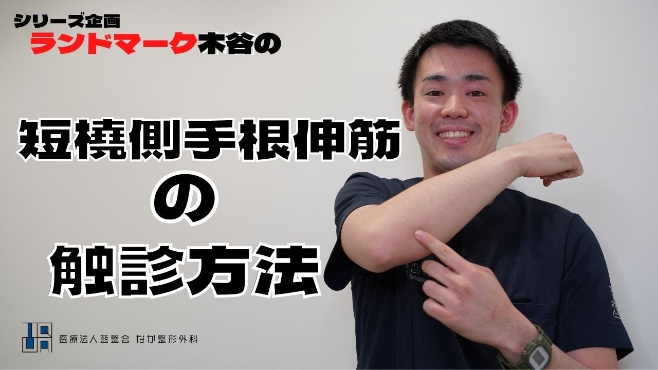 理学療法士による短橈側手根伸筋の触診方法