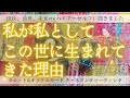 【重要】私が生まれてきた理由~どうして私はわたしを選んで生まれてきたの?~[タロット・オラクルカードリーディング]