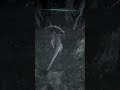 when the hunt fails -The Isle evrima Ceratosaurus  #theislegameplay #ceratosaurus #humor #hunting