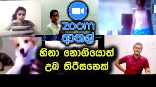 Zoom Meetings වල සිදු වුනු ආතල් සිද්ධි | Zoom Fun New | Zoom Athal New | Zoom Fun Sri Lanka 2024