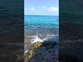 #nature #video #sea #mare #scogliera