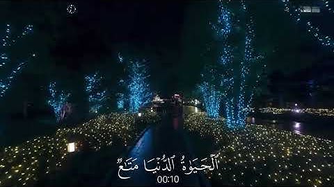 ‏سورة  غافر ‏الآية 38 ￼