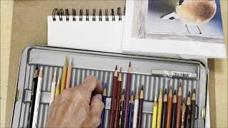 How to use Prismacolor Colored Pencils (Drawing a bird) (Tutorial) screenshot 4
