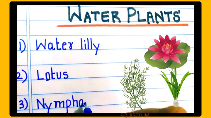 Water plants name in English | Aquatic plants name | hydrophytes name / hydrophytes examples - DayDayNews
