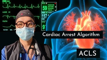ACLS: Cardiac Arrest Algorithm