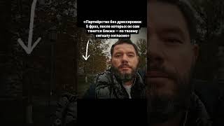 Партнёрство без дрессировки: 5 фраз, после которых он сам тянется ближе — по твоему сигналу согласия