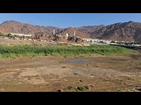 جبل يحبنا ونحبه