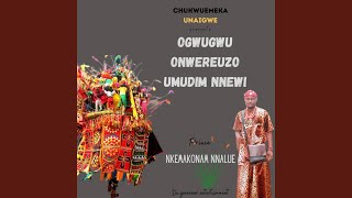 Ogwugwu Onwereuzo Umudim Nnewi - Prince Nkemakonam Nnalue