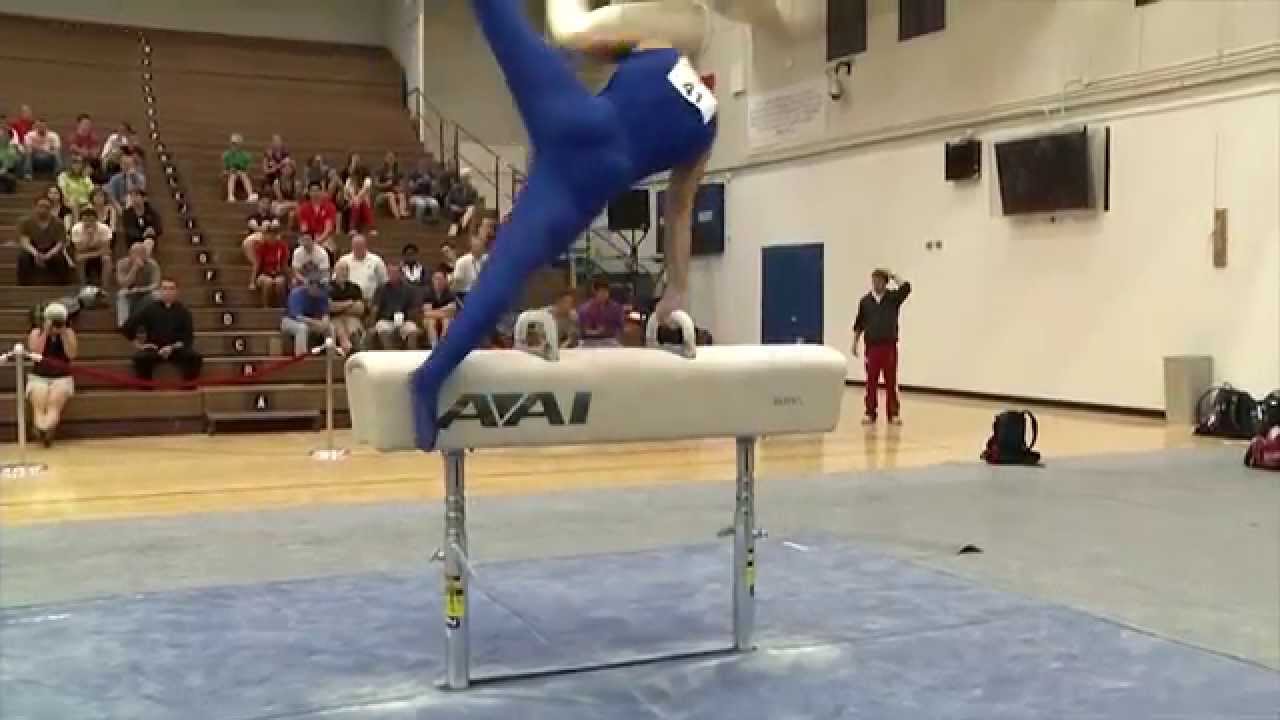 Danell Leyva - Seitpferd - 2014 - D-Note