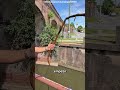 Lanzó un imán al agua… y lo que salió del canal en Alemania es increíble 😳🧲#shorts