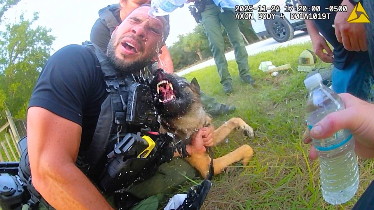 Deputy and K9 Partner Get Bear Spray to the Face