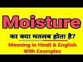 Moisture meaning in Hindi | Moisture ka kya matlab hota hai | Daily use English words