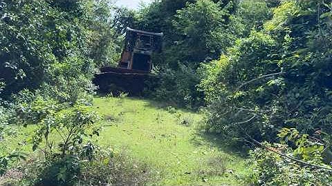Forest Road Opening Using CAT D6R XL Bulldozer Technique That Will Blow Your Mind!
