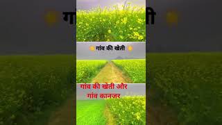 viral/view/shorts/video/youtube गांव की खेती.........
