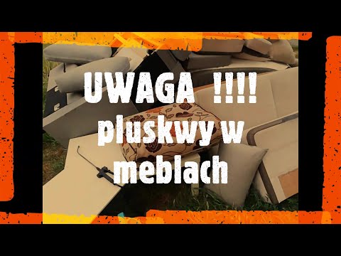 Wideo: Jak We Wszystkim Szukać Plusów