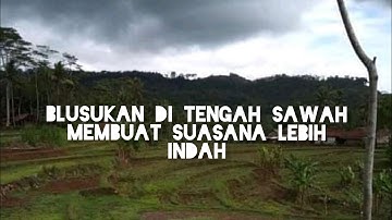 (BLUSUKAN)di tengah sawah membuat suasana lebih segeerrr dan melihat pemandangan nya yg bgitu indah