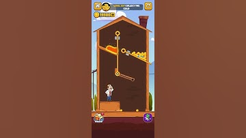 Home Pin (Level 207)