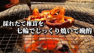 【七輪】山で採れた新鮮な