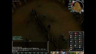 Slaying shadow warrior's - Guide -