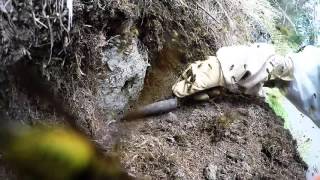 Wasp nest excavation in New Zealand(This is a video of me digging an invasive German wasp (Vespula germanica) nest for my research on biological control wasps at Landcare Research in NZ., 2016-02-07T23:12:35.000Z)