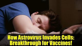 How Astrovirus Invades Cells Breakthrough For Vaccines