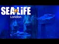 SEA LIFE London Aquarium Vlog May 2021