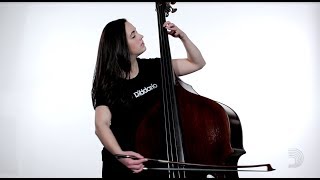 d'addario: kaplan solo double bass strings