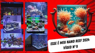 Esse é meu Nano Reef 2024 - Vídeo nº9 by Aquário Marinho -Sem Grana 3,512 views 3 weeks ago 19 minutes