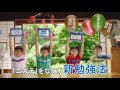 進研ゼミ 中学講座「ニガテつぶしの夏」篇