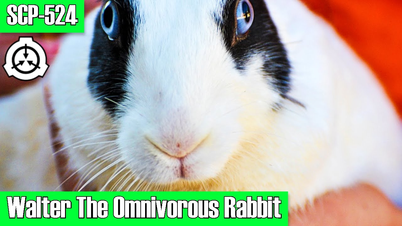 Experiment: Walter, The Omniverous Rabbit meets The Unkillable