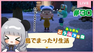 #30のんびり島くらしをするのだ【＃あつまれどうぶつの森】