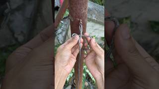 Strong knots are easy to release #knots #usashorts #tips
