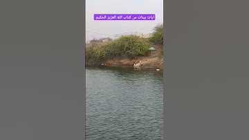 آيات بينات عطره من كتاب الله العزيز الحكيم الغفور الرحيم #كن_مع_الله_ولا_تبالي #قران_كريم