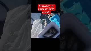 #fishing ψάρεμα με ψωμί, fishing with bread!
