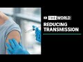 One shot of a vaccine reduces transmission, study finds | The World - ABC News (Australia)