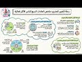 ملخص كتاب العادات السبع للناس الأكثر فعالية