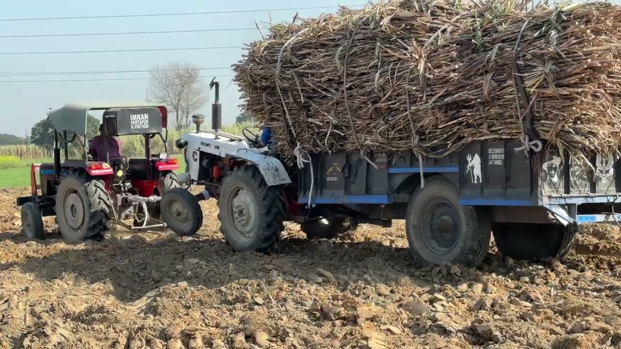 Escort 335 with Massey Ferguson 241 pulling power