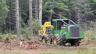 felling white pine and loading logs.