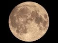 Themes of the full moon in leo january 25 2024 and a meditation for this full moon