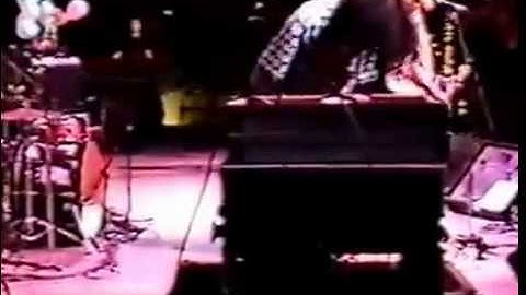 Moth in the Incubator - 1994