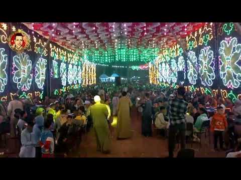 الريس سامح جميل الاسيوطي موال الجمل جمل اجمل حفلة 2025