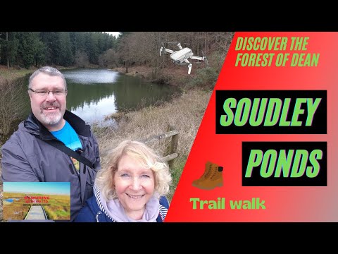 Royal Forest of Dean | Walking the Soudley Ponds trail