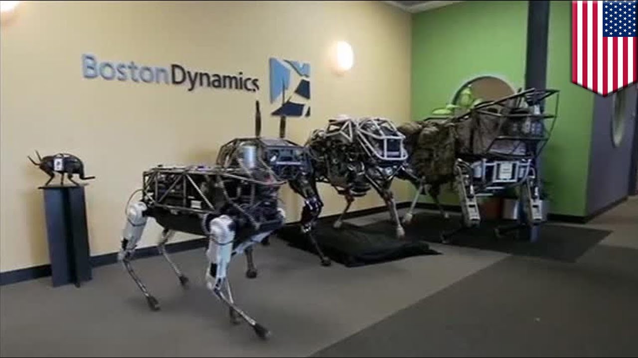 Google's robot dog: Boston Dynamics puts robot dog Spot ...