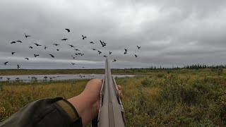 Fall Goose Hunt 2023, In James Bay