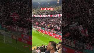 ‘Cainii rosii, ale, ale’ 💣 PCH Dinamo vs Craiova #reels #shorts #ultras #dinamo #casual #football